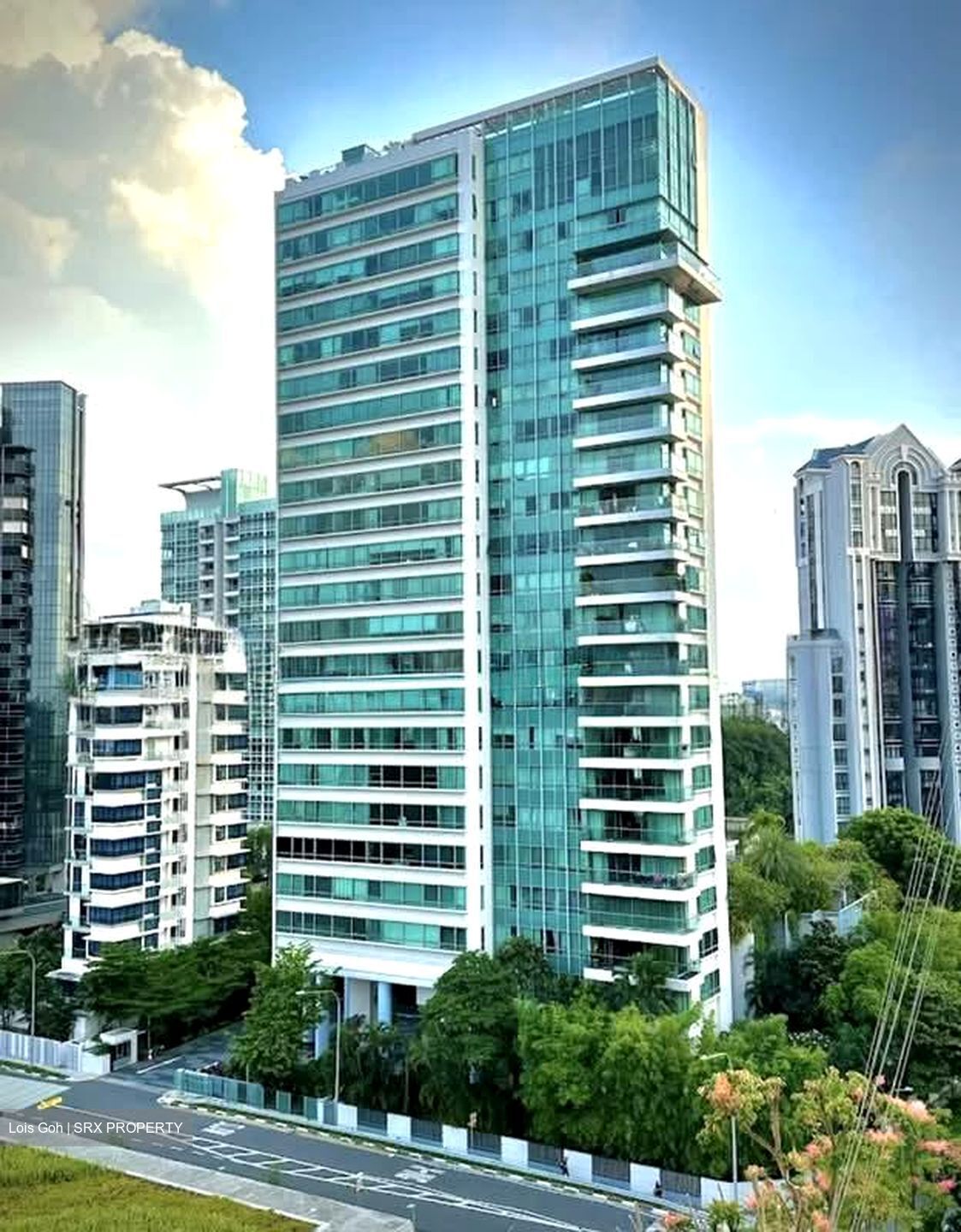 The View @ Meyer (D15), Apartment #545731121